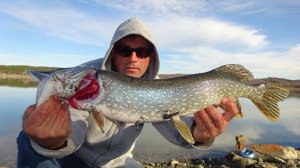 Удивительная рыбалка зимой! Щука на живца.