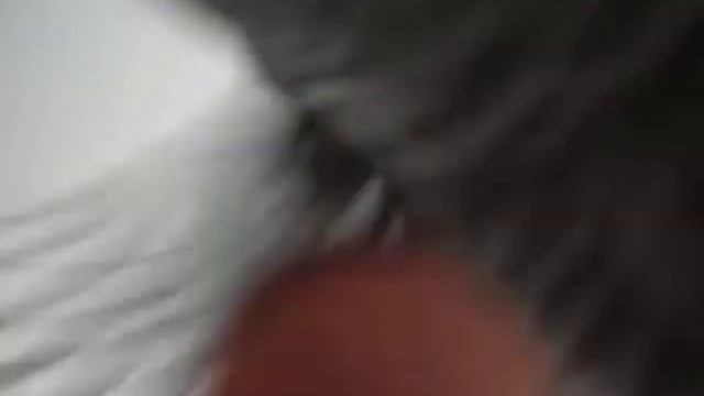 Жако и фотоаппарат смотреть онлайн