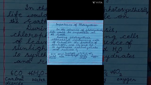 Stomata and Importance of Photosynthesis#forall Science lovers#learn it and do practice in cursive смотреть онлайн