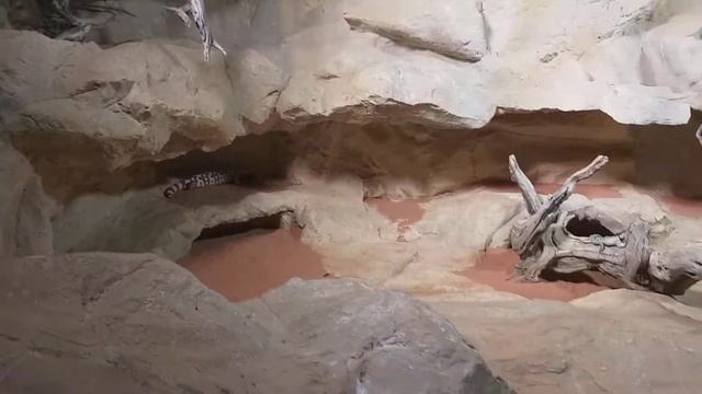 ФЛОРА И ФАУНА.МОРСКОЙ МУЗЕЙ. ВЕНА АВСТРИЯ.