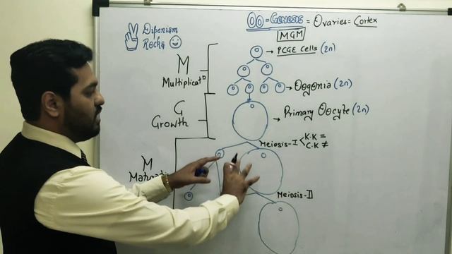 OOGENESIS | GAMETOGENESIS | Human Reproduction Class 12 | Board Exams #Dipenism #NEET #Biology