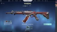 REAVER VANDAL ACCOUNT FOR SALE | VALORANT ACCOUNTS FOR SALE | #valorantskins #valoidforsale #riotid
