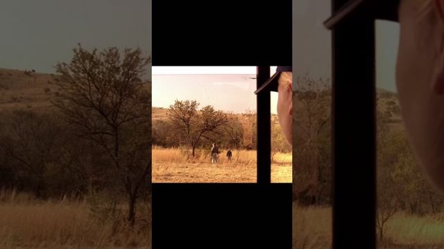 Нападение львов