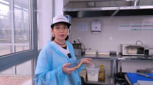 Бизнес-план по доставке суши и роллов | Сколько нужно вложить денег? Лучше купить франшизу?