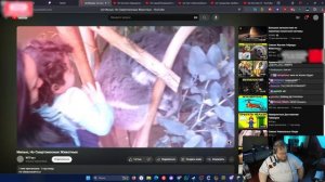 T2x2 СМОТРИТ: Милые, Но Смертоносные Животные