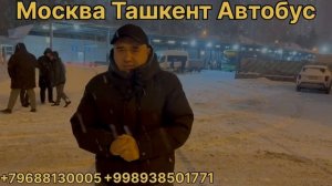 Москва Ташкент автобус янги ва сифатлик