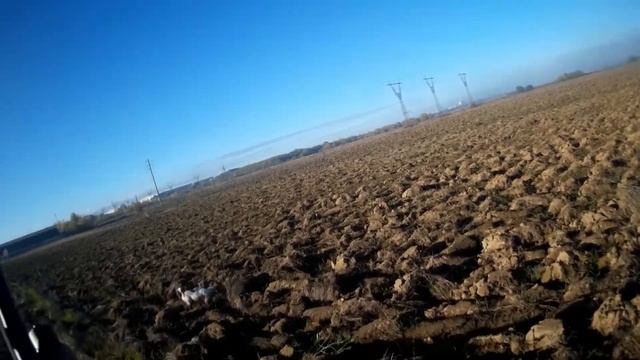 ОХОТА НА СЕРУЮ КУРОПАТКУ С БРЕТОНАМИ ХОЛЛИ И СЬЮЗИТ смотреть онлайн