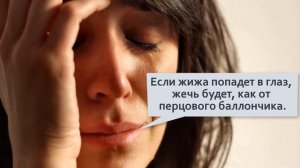 Кордильерский палочник  Инфернальное насекомое, распыляющее яд  Весь вид уместился на 5 гектарах