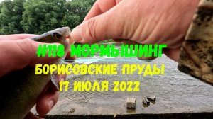 #118 Мормышинг Борисовские пруды 17 июля 2022