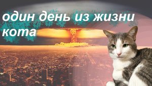 Один день из жизни кота ᓚᘏᗢ