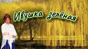 Ивушка зеленая - Юлия Боголепова