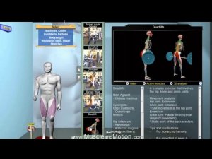 Становая тяга. Вся правда