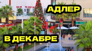 АДЛЕР ЗИМА | ПОСТАВИЛИ ЕЛКУ | ЛАЗУРЬ - ЧАЙКА - МАНДАРИН