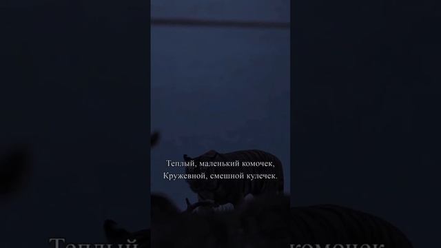 Рождение сына! #отсердцаксердцу #поэзия #стихи