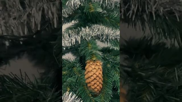 Нарядили первую ёлочку в офисе Green Clean в Санкт-Петербурге🎄