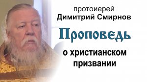 Проповедь о христианском призвании (2013.12.15). Протоиерей Димитрий Смирнов