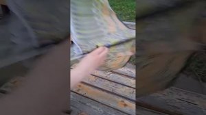 Купили собрали и проверили воздушный змей из пятёрочки