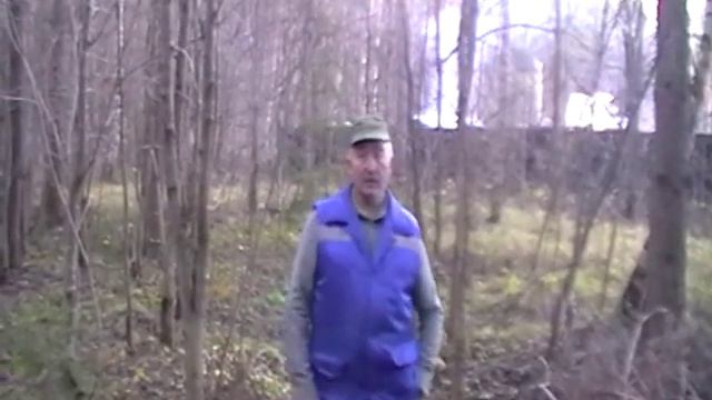 Стружки Бытия. смотреть онлайн