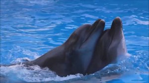 Ты излил в меня неземную Любовь