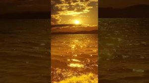 Душевный романс на мелодичном украинском языке. Уляна Ковалик.