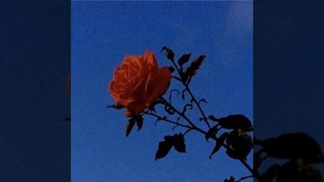 BABY смотреть онлайн