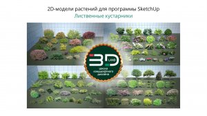 2D-модели растений для SketchUp. Лиственные кустарники