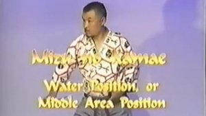 Ниндзя - Танто дзюцу / Hoshino Harunaka - NINJA TANTO