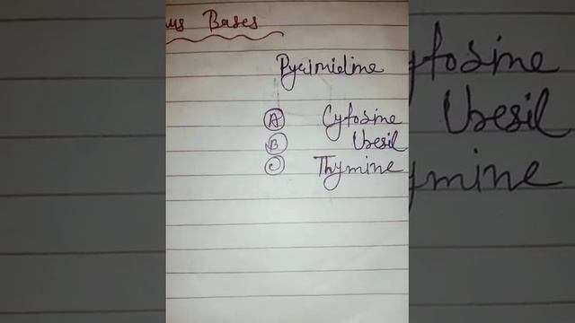Nitrogenous bases #✍️✍️#purine and Pyrimidine #biochemistry and molecular biology смотреть онлайн