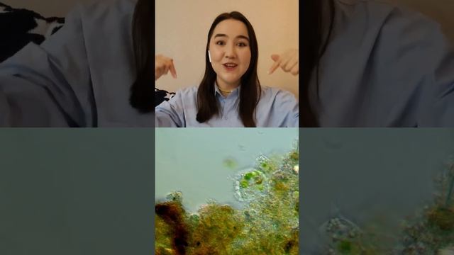 Угадайте, кто плавает? смотреть онлайн