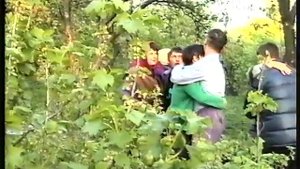 Видеостриптиз,2000...(1)