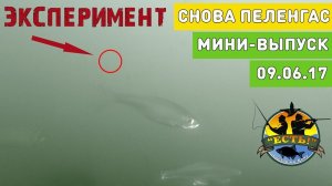 Рыбалка 2017: Снова о пеленгасе