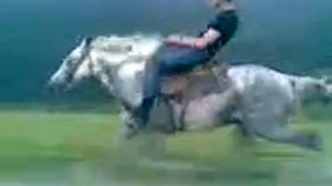 Самая быстрая лошадь