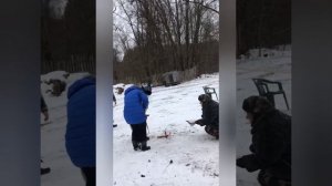 Выставка норных собак, ягдтерьера. Оценка отлично.