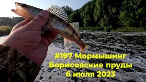 #197 Мормышинг Борисовские пруды 6 июля 2023