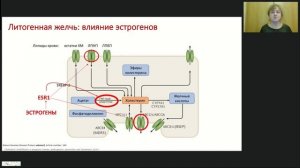 Вебинар "Билиарный континуум"