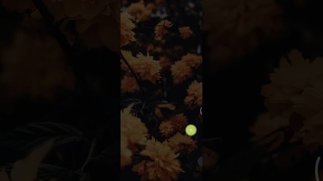 Best Android customisation  Klwp 2021 theme