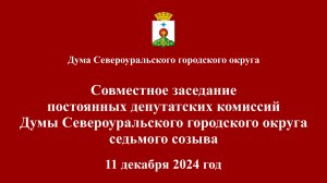 Совместное заседание постоянных депутатских комиссий Думы 11 декабря 2024 года