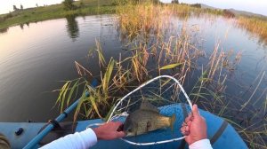 Карась Хакассия 2020