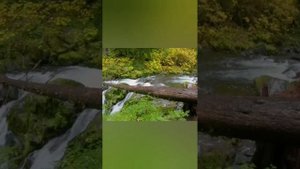 Никях. Права и обязанности супругов. Урок 17 из 21. Хорошо относись к жене #ислам #мусульмане #семья