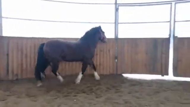 Валдай 2017 170 вх+ продажа смотреть онлайн