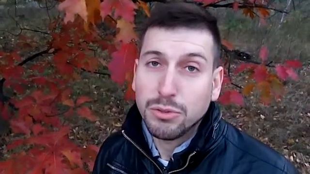 ЗОЛОТАЯ ОСЕНЬ - волшебный лес / beautiful autumn #красота #осень #сад
