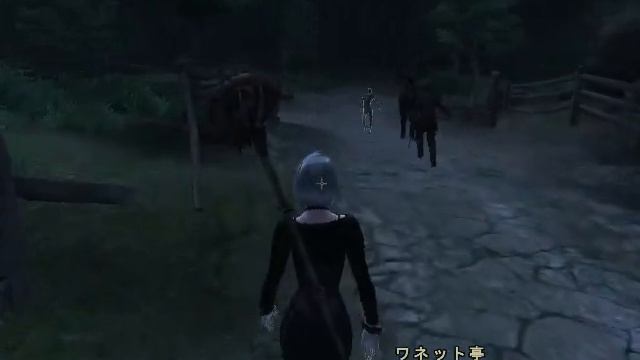 オブリビオン 死霊術師ごっこ 5 達人召喚術師と Nightwalkers смотреть онлайн