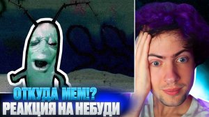 Небуди ПЛАНКТОН АААА 😩 — ОТКУДА МЕМ? РЕАКЦИЯ НА ИСТОРИЯ МЕМА 2024