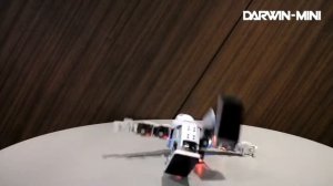 ROBOTIS DARWIN MINI