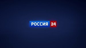 Какие тенденции на рынке труда наблюдаются в 2024 году?