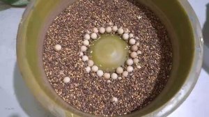 Сделано в Приморье