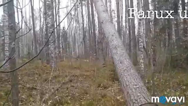 Хамма ишни узини устаси бор , смотреть онлайн