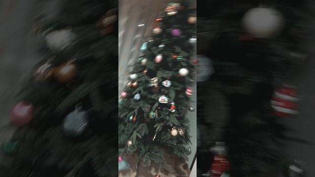 1000017124.mp4