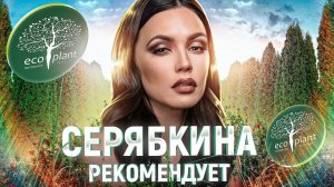 СЕРЯБКИНА рекомендует питомник растений Экоплант