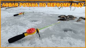Ловля ротана по первому льду. Порыбачил от души